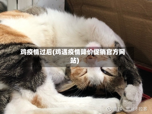 鸡疫情过后(鸡遇疫情降价促销官方网站)-第1张图片