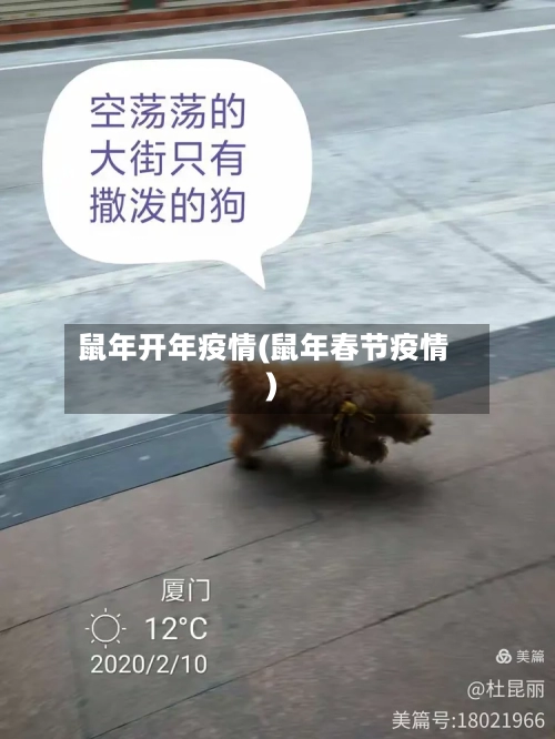 鼠年开年疫情(鼠年春节疫情)-第1张图片