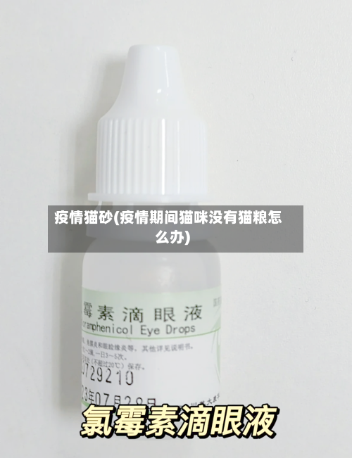 疫情猫砂(疫情期间猫咪没有猫粮怎么办)-第2张图片