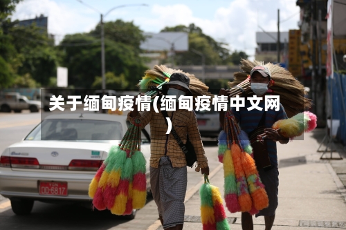 关于缅甸疫情(缅甸疫情中文网)-第2张图片