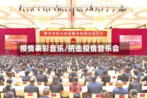 疫情表彰音乐/抗击疫情音乐会-第3张图片