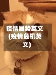 疫情局势英文(疫情危机英文)-第3张图片