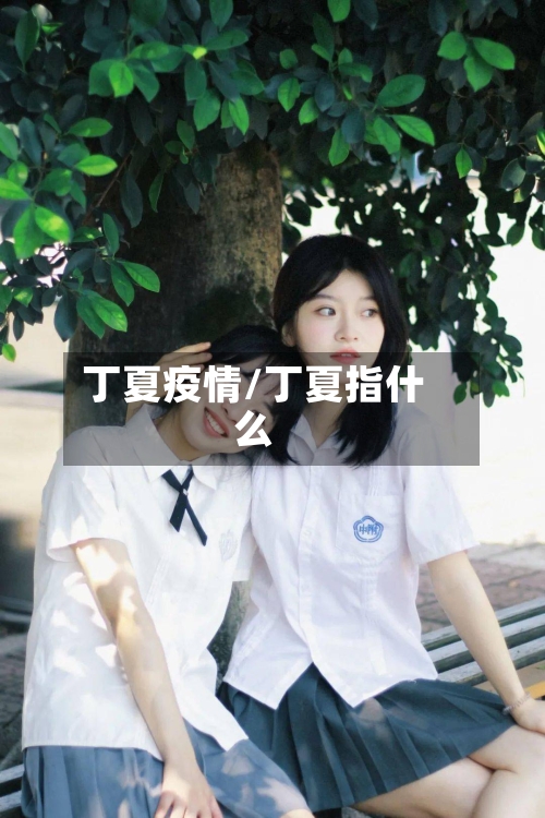 丁夏疫情/丁夏指什么-第2张图片