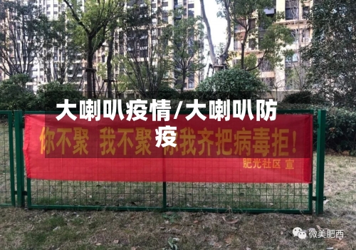 大喇叭疫情/大喇叭防疫-第2张图片