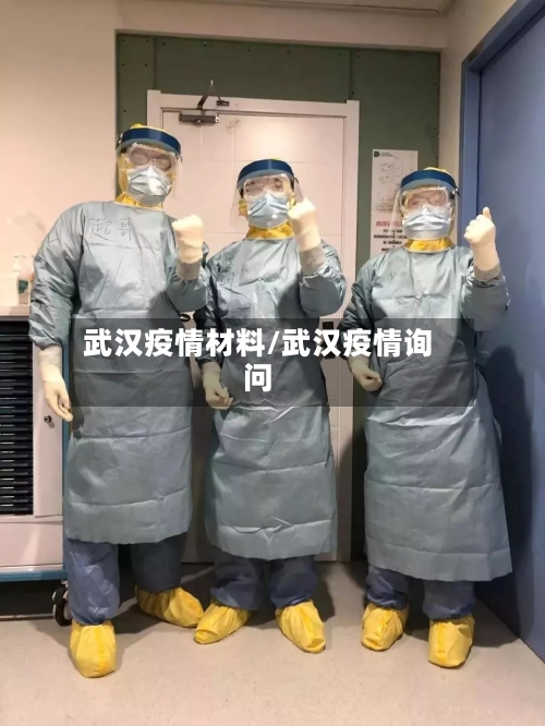 武汉疫情材料/武汉疫情询问-第3张图片