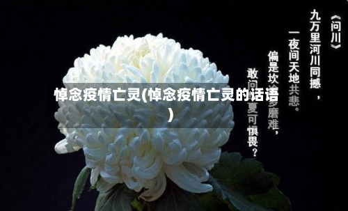 悼念疫情亡灵(悼念疫情亡灵的话语)-第3张图片