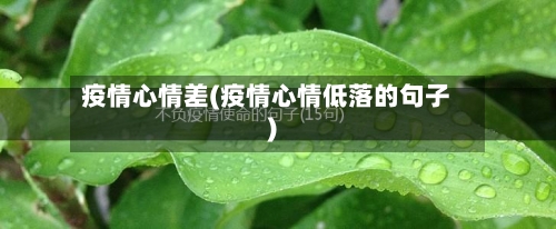 疫情心情差(疫情心情低落的句子)-第3张图片