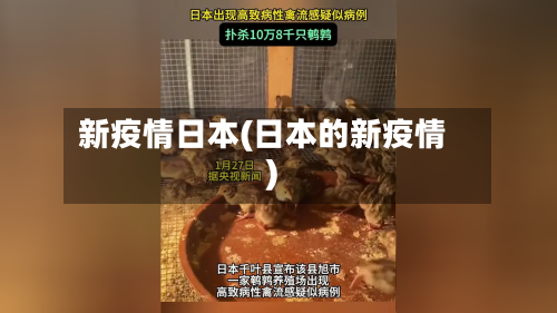 新疫情日本(日本的新疫情)-第1张图片