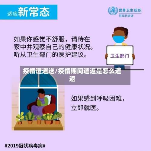 疫情遭遣送/疫情期间遣返是怎么遣返-第3张图片