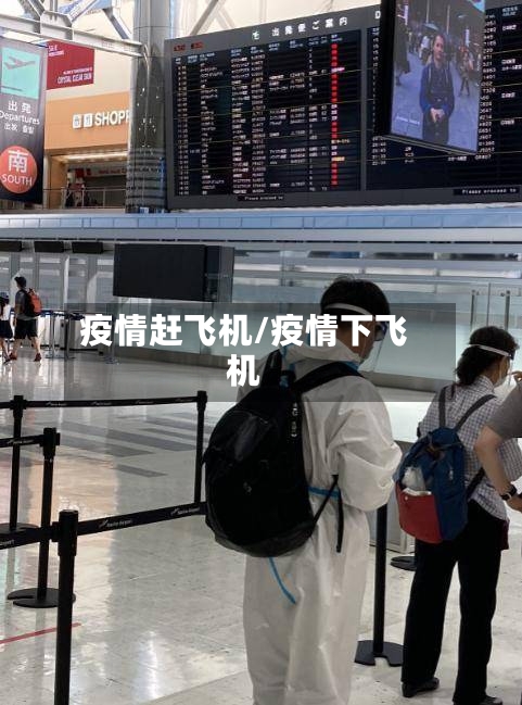 疫情赶飞机/疫情下飞机-第2张图片