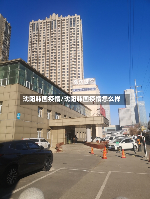 沈阳韩国疫情/沈阳韩国疫情怎么样-第3张图片