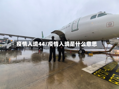 疫情入境44/疫情入境是什么意思-第2张图片