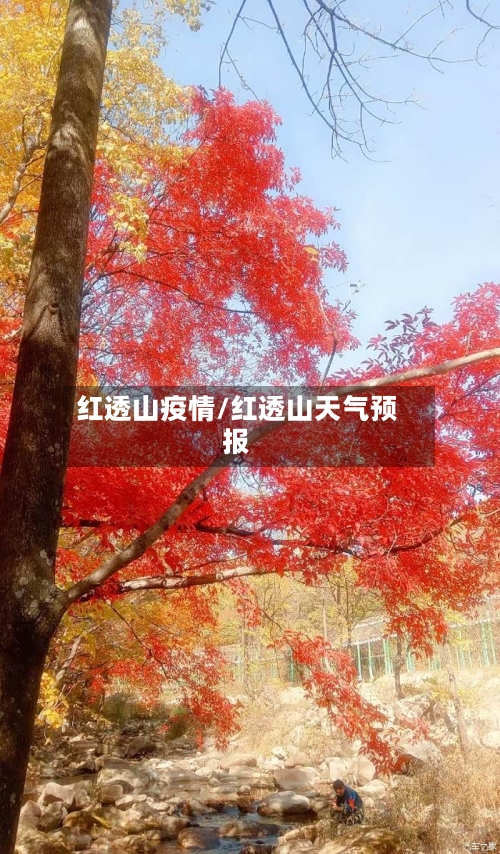 红透山疫情/红透山天气预报-第1张图片