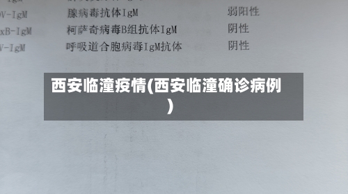 西安临潼疫情(西安临潼确诊病例)-第2张图片