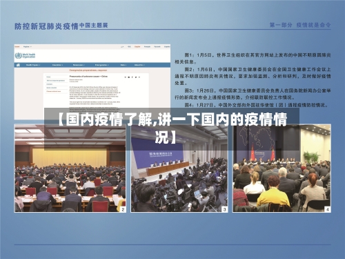【国内疫情了解,讲一下国内的疫情情况】-第2张图片