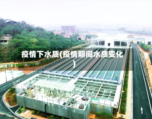 疫情下水质(疫情期间水质变化)-第1张图片