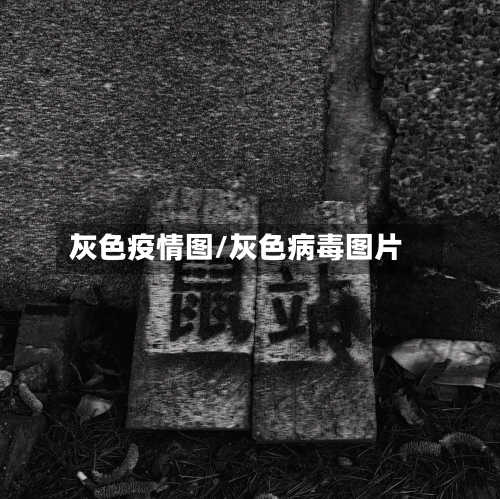 灰色疫情图/灰色病毒图片-第1张图片