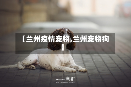 【兰州疫情宠物,兰州宠物狗】-第1张图片