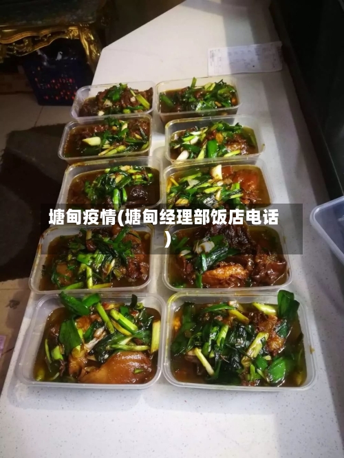 塘甸疫情(塘甸经理部饭店电话)-第2张图片