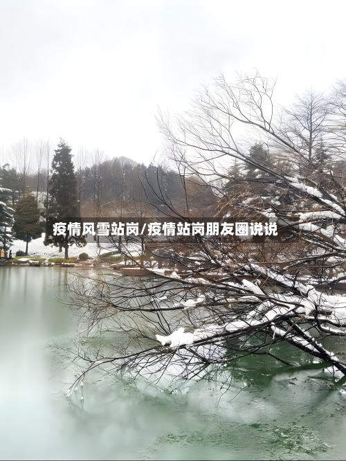 疫情风雪站岗/疫情站岗朋友圈说说-第3张图片