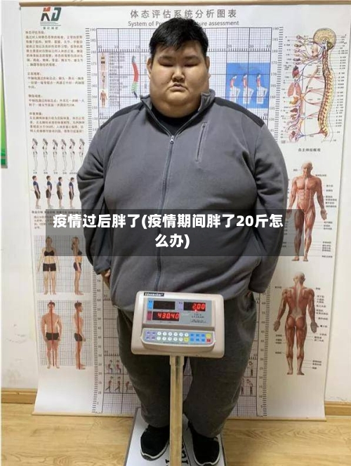 疫情过后胖了(疫情期间胖了20斤怎么办)-第3张图片