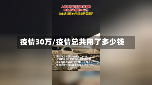 疫情30万/疫情总共用了多少钱-第2张图片