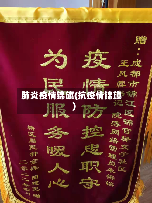 肺炎疫情锦旗(抗疫情锦旗)-第3张图片