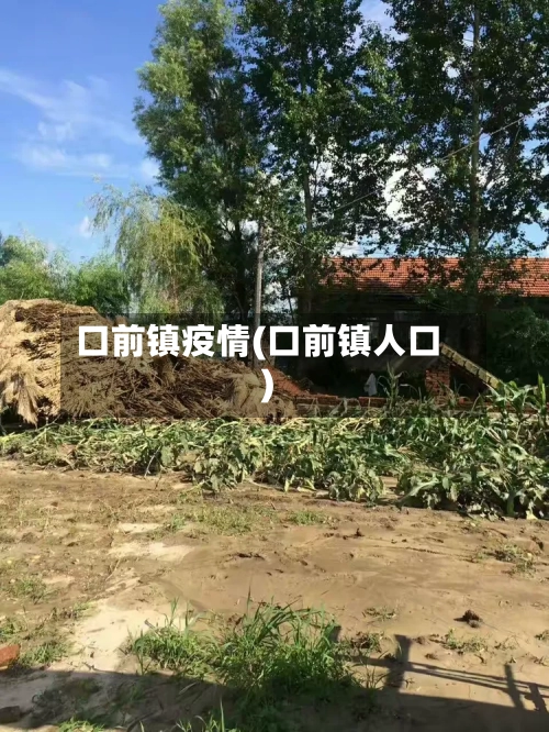 口前镇疫情(口前镇人口)-第2张图片