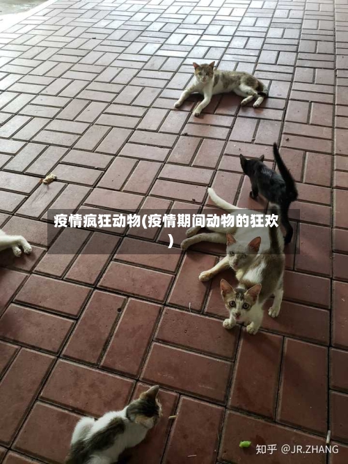 疫情疯狂动物(疫情期间动物的狂欢)-第1张图片