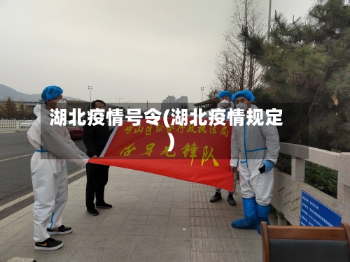湖北疫情号令(湖北疫情规定)-第3张图片