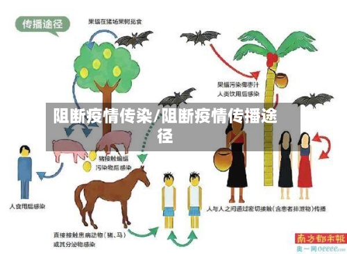 阻断疫情传染/阻断疫情传播途径-第3张图片