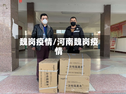 魏岗疫情/河南魏岗疫情-第1张图片