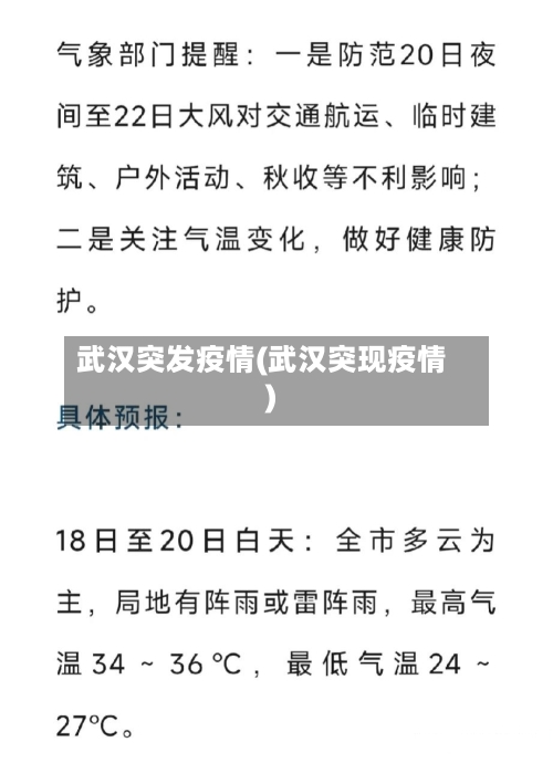 武汉突发疫情(武汉突现疫情)-第1张图片