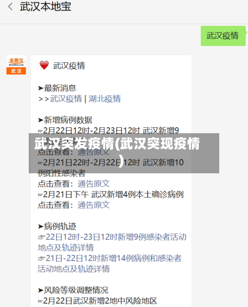 武汉突发疫情(武汉突现疫情)-第2张图片