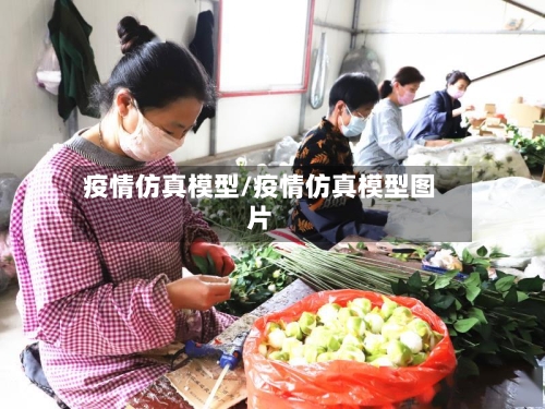 疫情仿真模型/疫情仿真模型图片-第1张图片