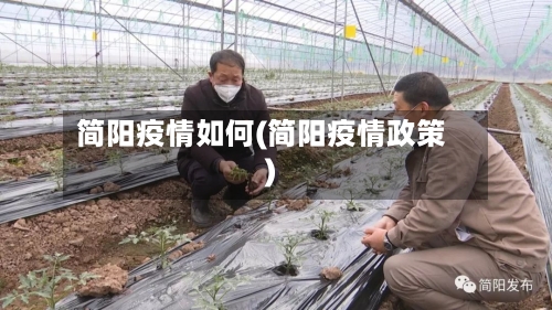 简阳疫情如何(简阳疫情政策)-第1张图片