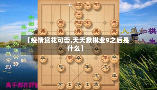 【疫情赏花可否,天天象棋业9之后是什么】-第1张图片