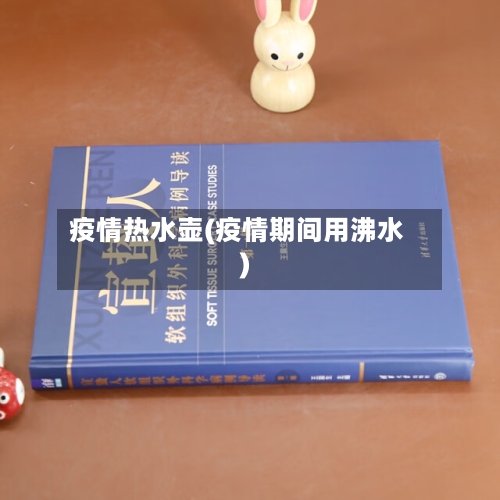 疫情热水壶(疫情期间用沸水)-第1张图片