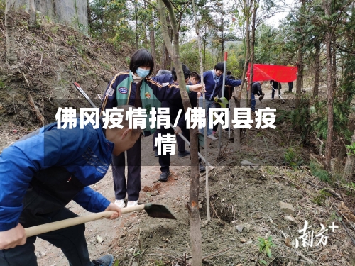 佛冈疫情捐/佛冈县疫情-第1张图片