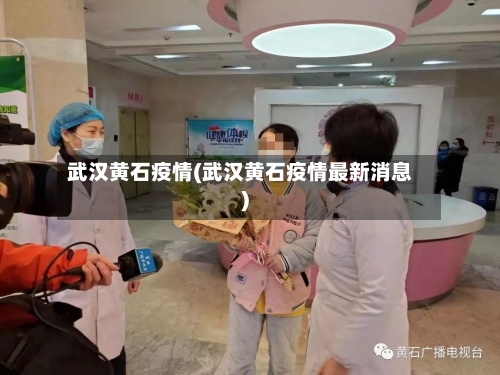 武汉黄石疫情(武汉黄石疫情最新消息)-第1张图片