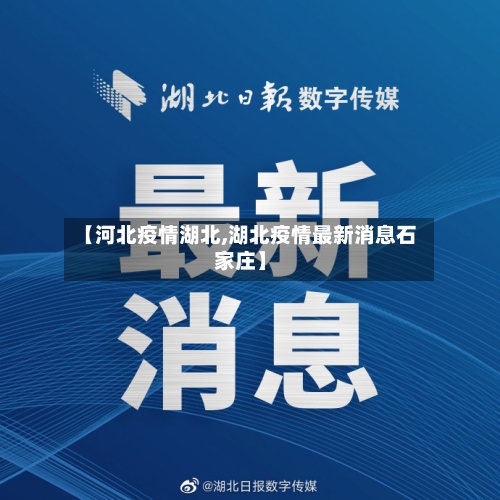 【河北疫情湖北,湖北疫情最新消息石家庄】-第2张图片