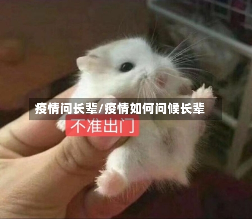 疫情问长辈/疫情如何问候长辈-第2张图片