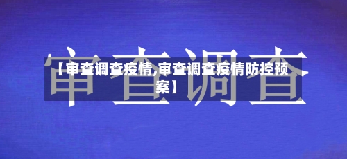 【审查调查疫情,审查调查疫情防控预案】-第3张图片