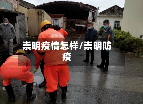 崇明疫情怎样/崇明防疫-第1张图片