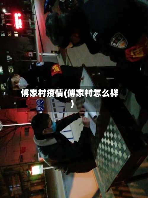 傅家村疫情(傅家村怎么样)-第2张图片