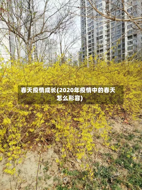 春天疫情成长(2020年疫情中的春天怎么形容)-第1张图片
