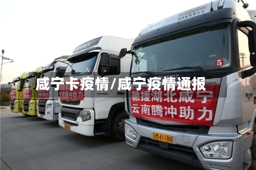 咸宁卡疫情/咸宁疫情通报-第1张图片