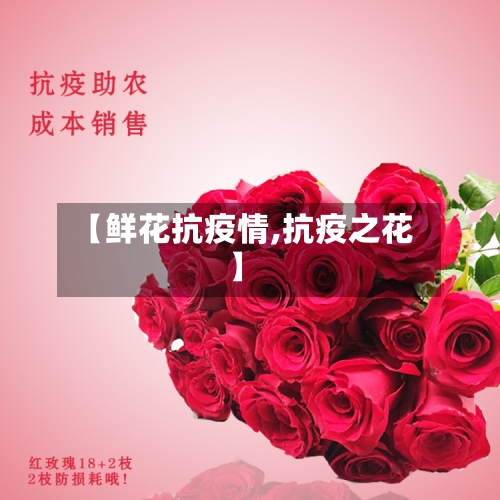 【鲜花抗疫情,抗疫之花】-第2张图片