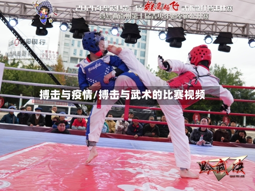 搏击与疫情/搏击与武术的比赛视频-第2张图片