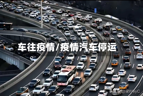 车往疫情/疫情汽车停运-第1张图片